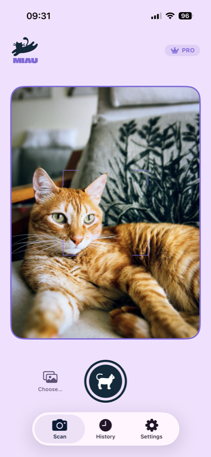 Miau screenshot 1