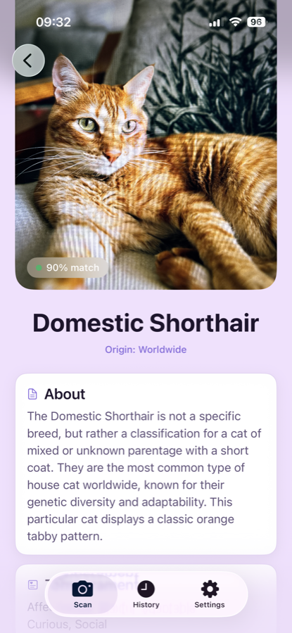 Miau screenshot 2